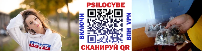 Псилоцибиновые грибы GOLDEN TEACHER  Купить  Бугуруслан 